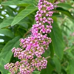 Tannen124 Отель типа 