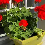 Bed & Breakfast Tannen124 Oberburg