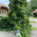 Tannen124