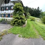 Tannen124