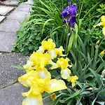 Bed & Breakfast Tannen124 Oberburg