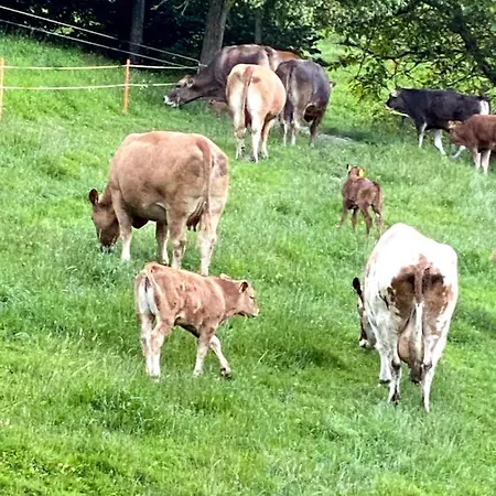 住宿加早餐酒店 Tannen124