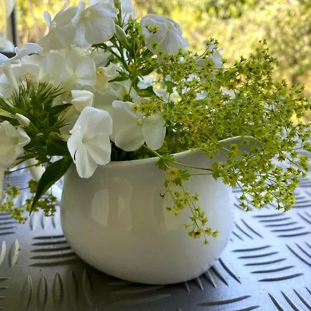 住宿加早餐酒店 Tannen124 3*