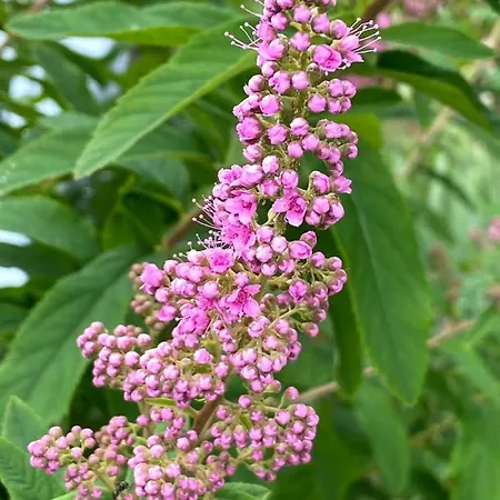 Tannen124 Bed & Breakfast 3*