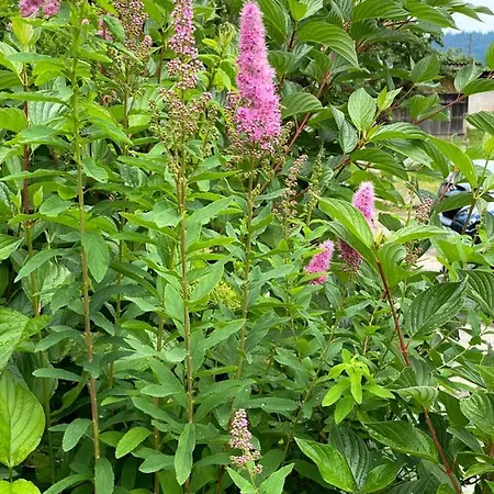 Bed & Breakfast Tannen124 Oberburg