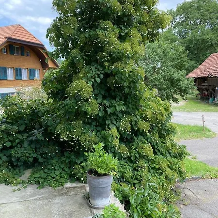 Tannen124