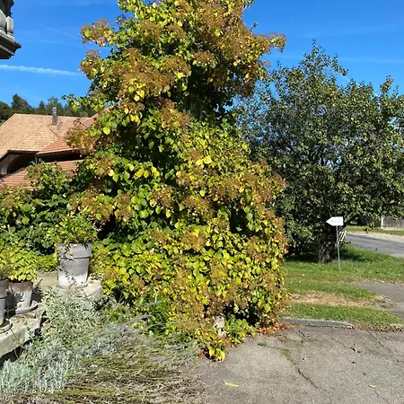 Bed & Breakfast Tannen124 3*