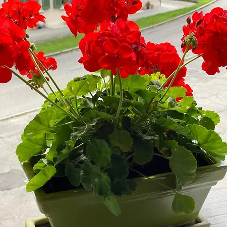 Bed & Breakfast Tannen124