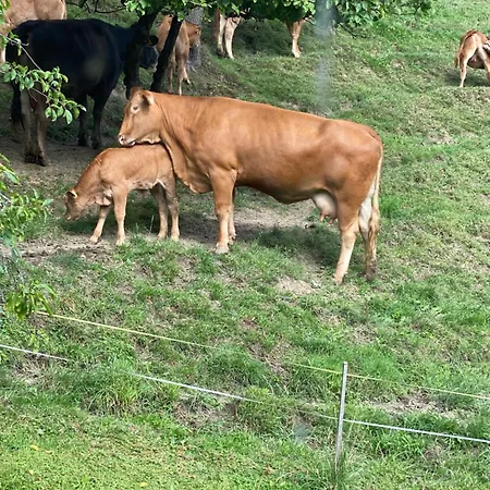 Tannen124 Bed & Breakfast 3*