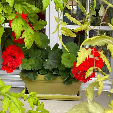 Tannen124 3* Oberburg