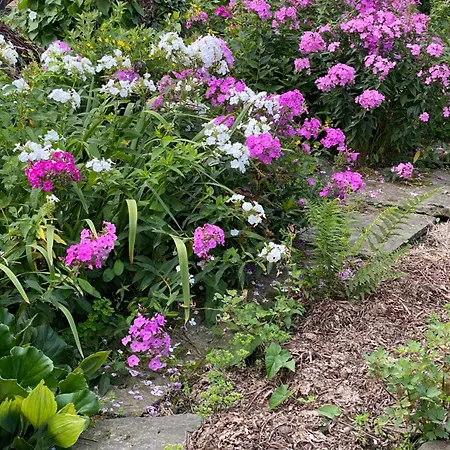 Tannen124 3* Oberburg