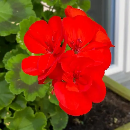 Tannen124 Bed & Breakfast 3*