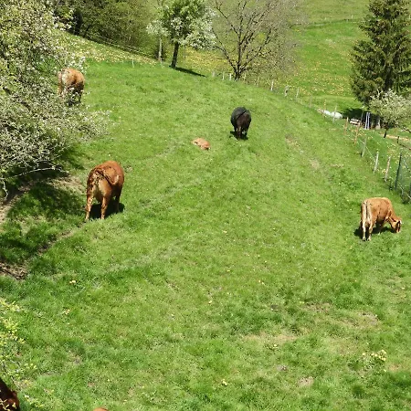 Frühstückspension Tannen124 *