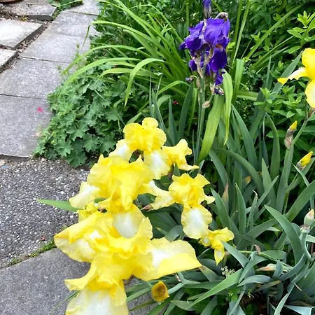 Bed & Breakfast Tannen124 Oberburg