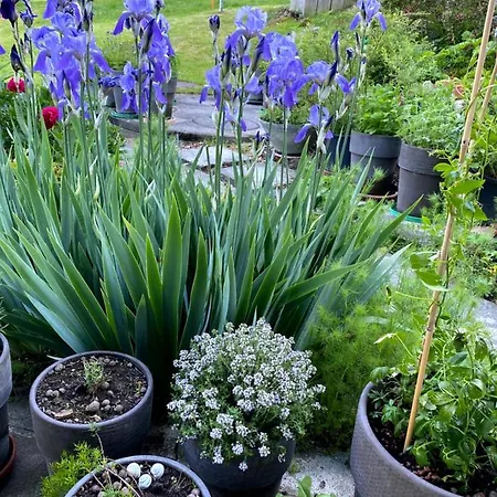 住宿加早餐酒店 Tannen124 3*