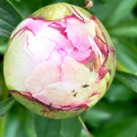 住宿加早餐酒店 Tannen124 Oberburg