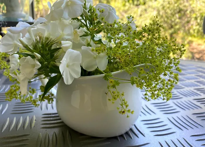 Bed & Breakfast Tannen124 3*