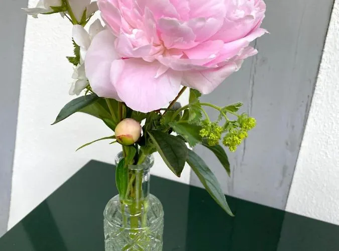 Bed & Breakfast Tannen124