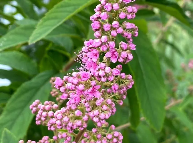 Tannen124 Bed & Breakfast 3*