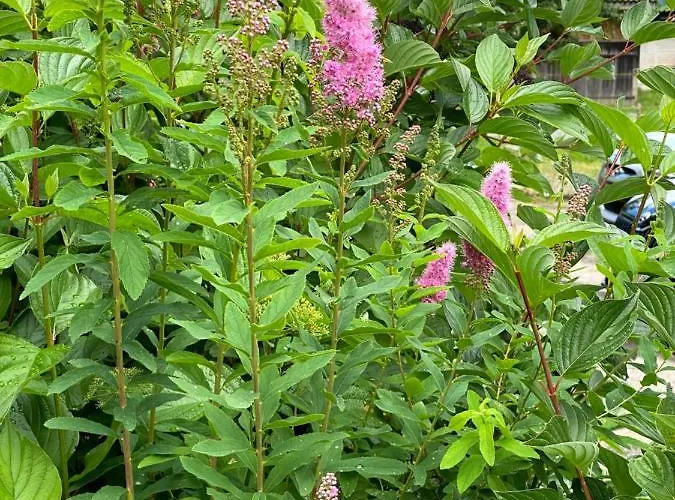 Bed & Breakfast Tannen124 Oberburg