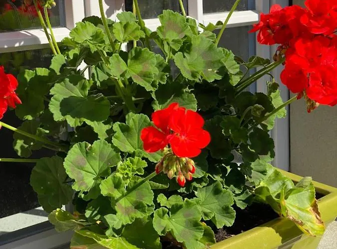 Bed & Breakfast Tannen124 Oberburg