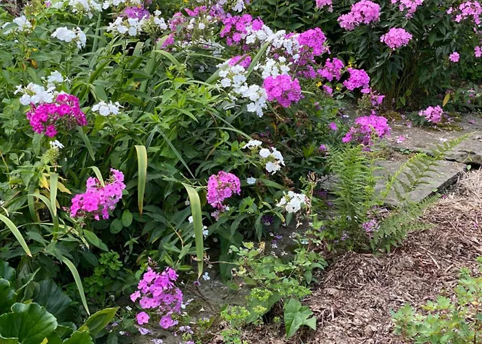 Tannen124 3* Oberburg