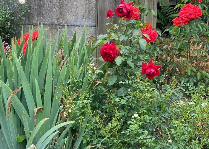 Bed & Breakfast Tannen124 3*