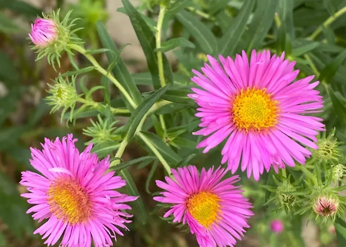 Tannen124 3* Oberburg