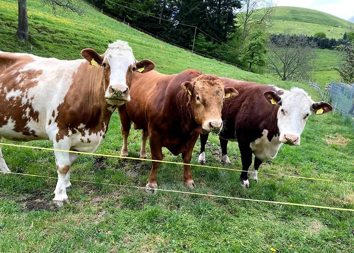 Bed & Breakfast Tannen124 Oberburg