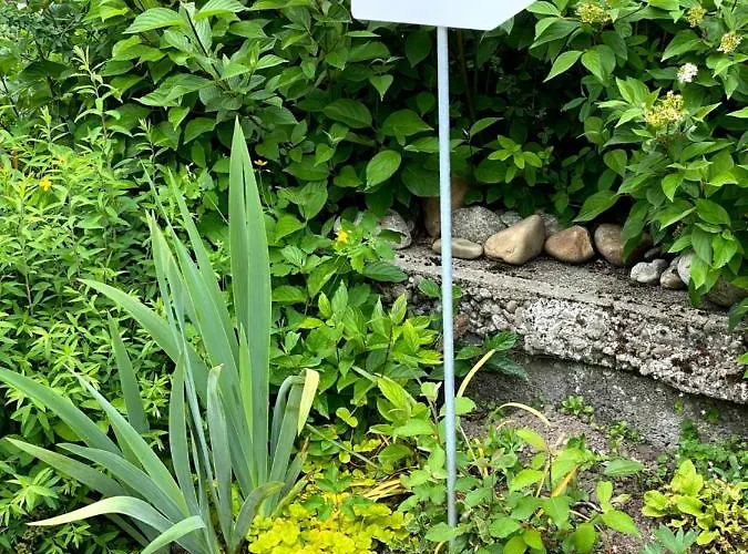 Tannen124 Bed & Breakfast 3*