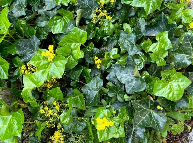 Tannen124 Bed & Breakfast Oberburg