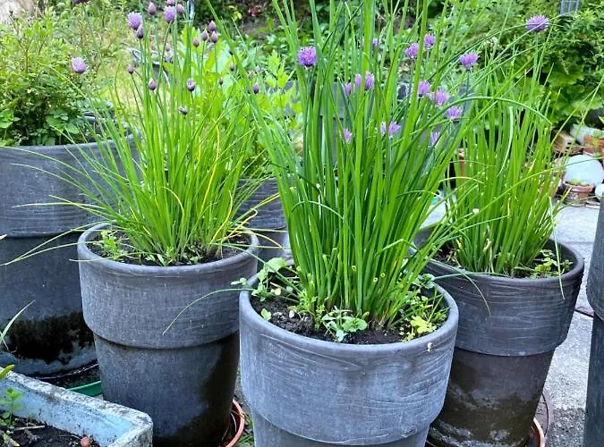 Bed & Breakfast Tannen124 Oberburg