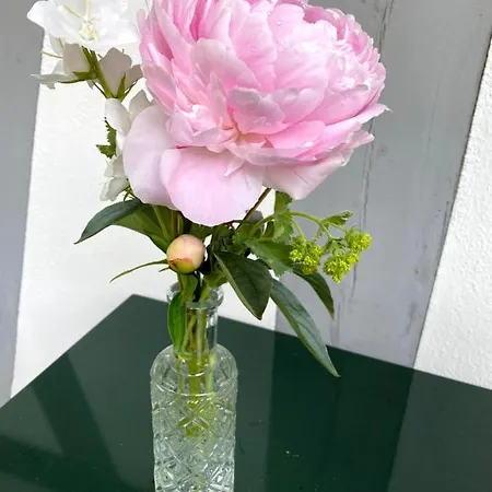 Bed and breakfast Tannen124