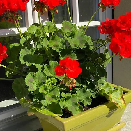 Bed and breakfast Tannen124 Oberburg