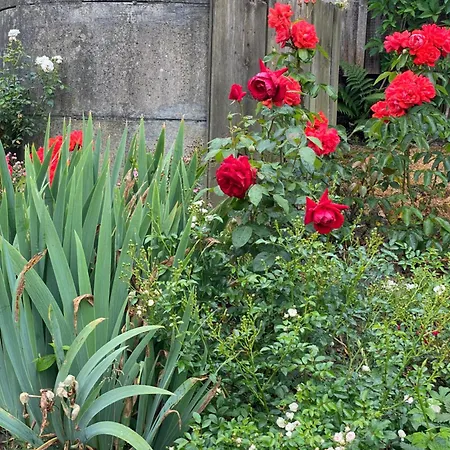 Bed & Breakfast Tannen124 3*