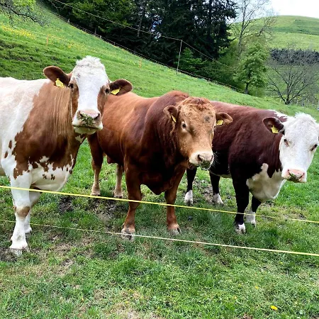 Bed & Breakfast Tannen124 Oberburg