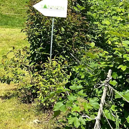 Tannen124 *