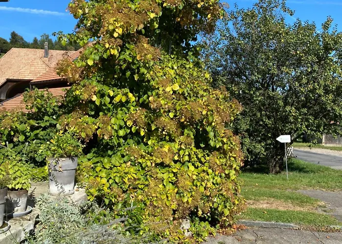 Bed & Breakfast Tannen124 3*