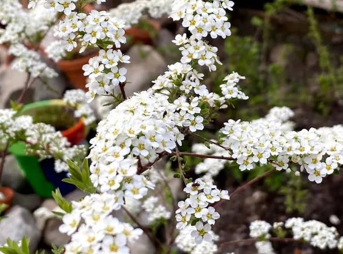 Tannen124 3* Oberburg