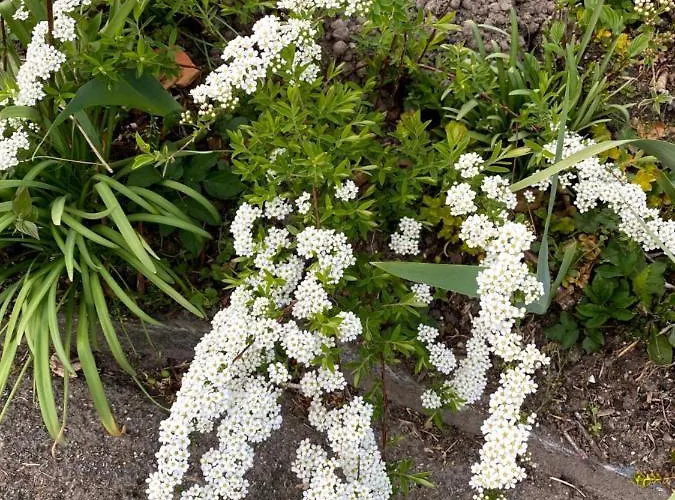 Tannen124 Bed & Breakfast 3*