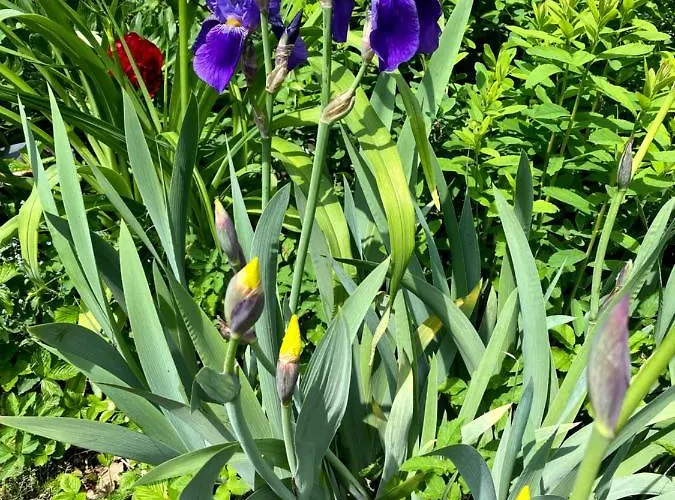 Tannen124 Bed & Breakfast