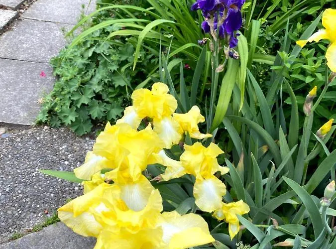 Bed & Breakfast Tannen124 Oberburg