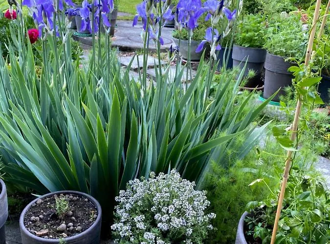 Bed & Breakfast Tannen124 3*