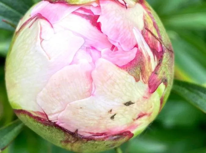 Bed & Breakfast Tannen124 Oberburg